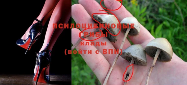 бутират Баксан