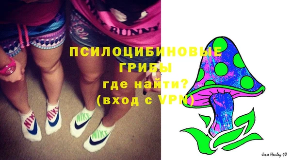 бутират Баксан