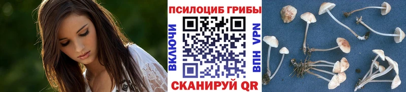 Галлюциногенные грибы MAGIC MUSHROOMS  Озёры 